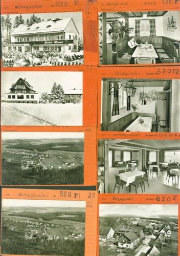 Herzogsweiler Lot mit 11 AK Musterkarten Original aus Metzarchiv Bestellvorgänge und Auflagenzahlen