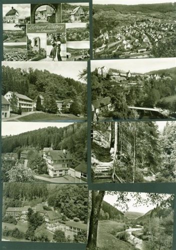 Wildberg Lot mit 19 AK viele mehrfach