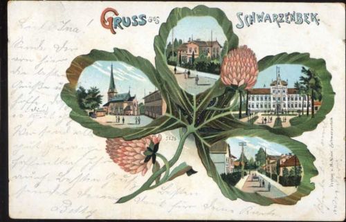 Schwarzenbek 1904 Gruß aus, Ansichten in einem Kleeblatt mit Blüten, u.a. Kirche,H. Klein
