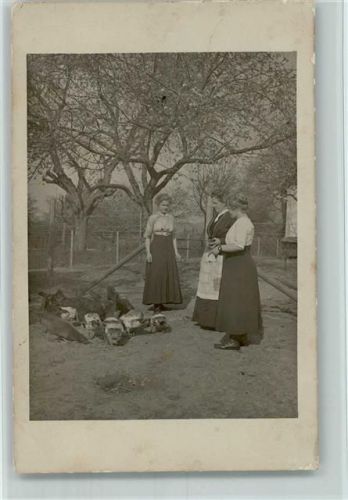 Geflügel im Garten - Drei Frauen 1912 Privatfoto AK