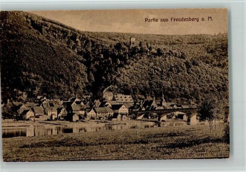 Freudenberg Gesamtansicht