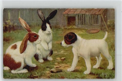 2 Kaninchen mit Welpen, Verlag Tuck Nr. 9539, Sign. B. Cobbs Hase