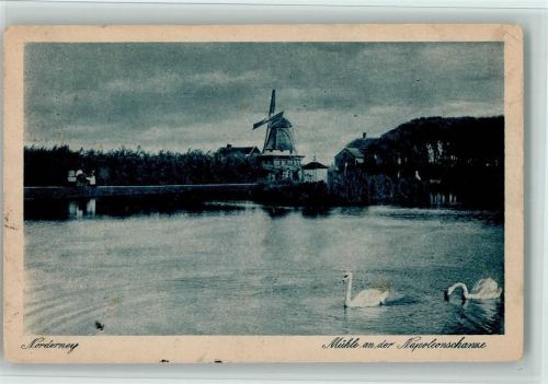 Norderney Mühle an der Napoleonschanze Schwäne