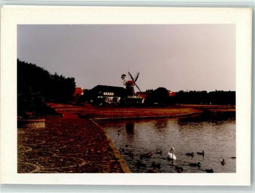 Norderney Neuer Kurpark Schwan