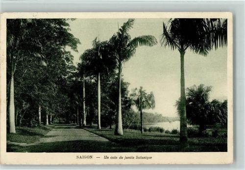 Saigon Un coin du jardin botanique