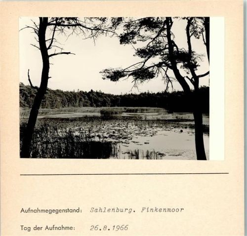Sahlenburg Finkenmoor Seerosen Foto montiert auf Karton