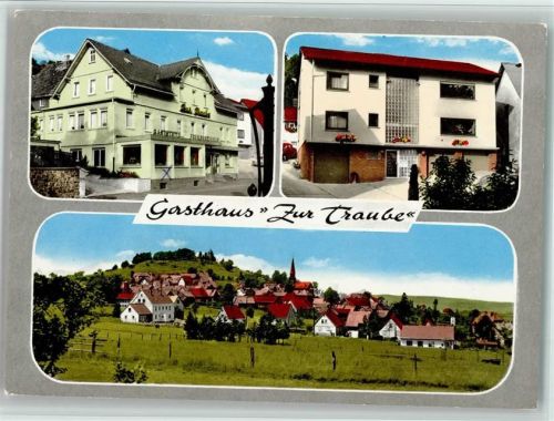 Ulrichstein Gasthaus Zur Traube Ortsansicht Gesamtansicht 3-Bildaufnahme