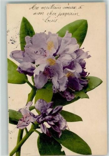 1898 Farbenlichtdruck - Nr. 577 - Blumen AK