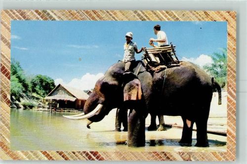 Kanchanaburi Floatel River Kwai Elephant