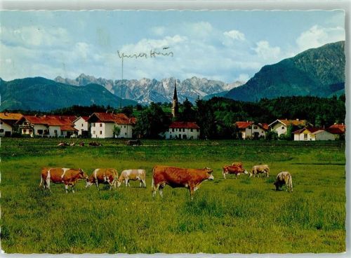 Feldwies Blick zum Kaisergebirge Rückseite mit Abschürfungen bzw Kleberesten