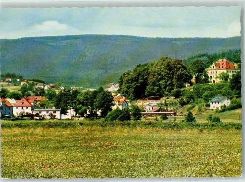 95688 W8591 Friedenfels - Blick nach Friedenfels