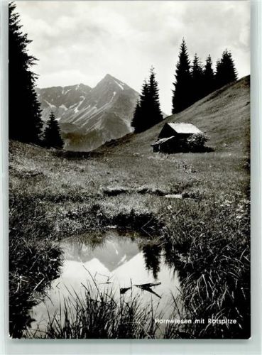 Bad Hindelang Hornwiesen mit Rotspitze Allgäuer Alpen