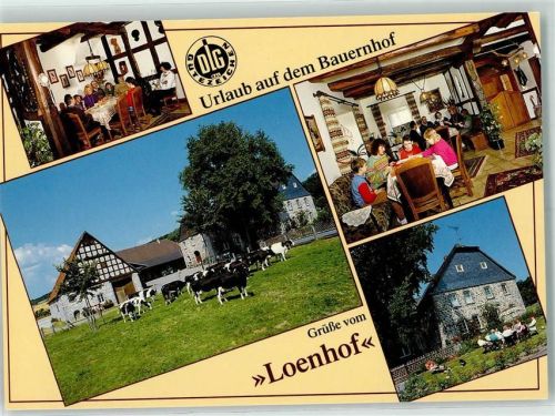 Sundern Bauernhof Pension Lohmann Loenhof Kühe