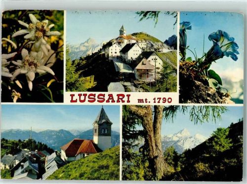 Camporosso Monte Lussari Edelweiss Enzian