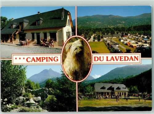 Argeles-Gazost Camping du Lavedan Hund