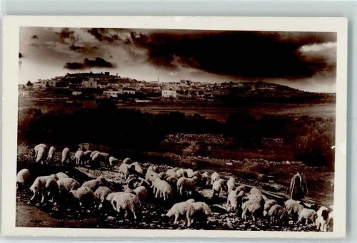 Bethlehem 1961 Hirtenfeld AK