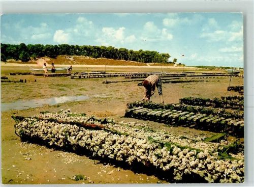 Saint-Trojan Ile d`Oleron Muschelbänke AK Muschel 1973