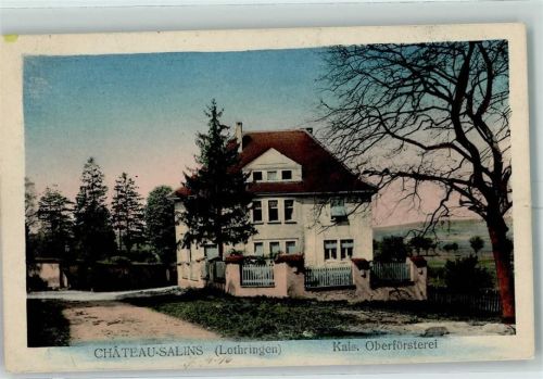 Chateau-Salins 1916 Oberförsterei Feldpost WK I