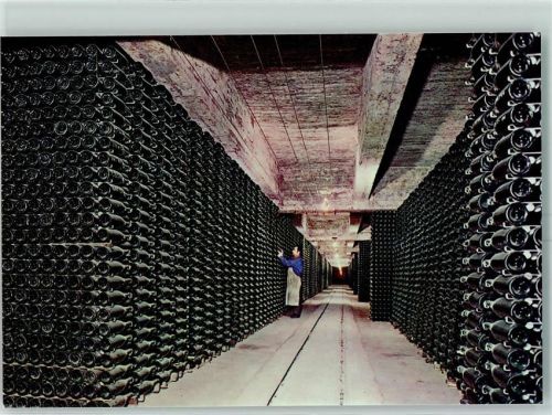 Barcelona Cavas Codorniu Kellerei Ageing bottles AK