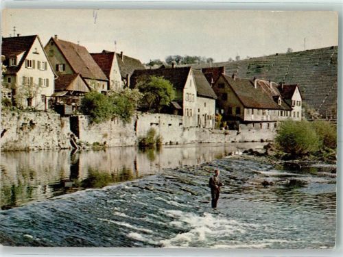 Dilsberg Neckar Angler