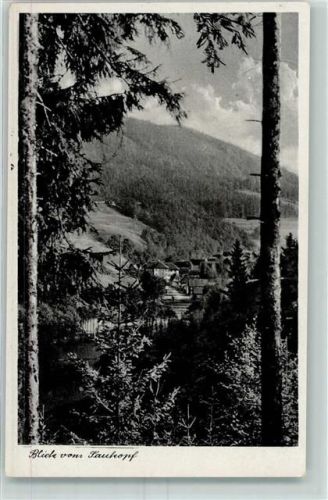 Mengersgereuth-Hämmern Blick vom Saukopf