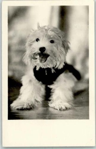 1953