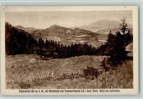 Arrach Eckersattel mit Waldhotel und Sommerfrische Eck Blick ins Zellerthal