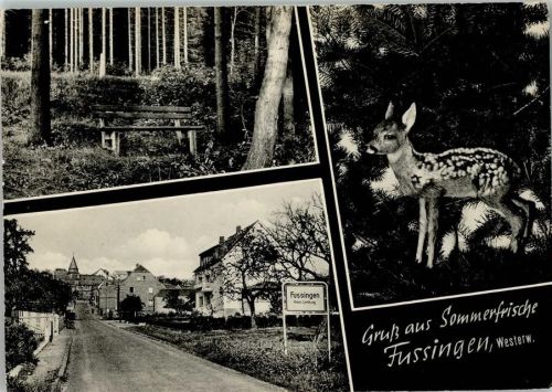 Fussingen 1965 Straßenbild, Reh, AK