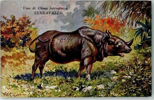 Rhinozeros Roma Zoo Werbung ChinaWein Serravallo Pharma