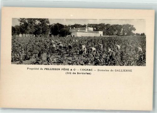 Cognac Chateau Pellison Domaine de Gallienne