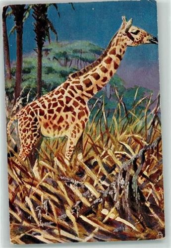 Giraffe TSN Serie 802