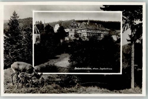 Bebenhausen Schloss Foto AK Metz Fotomontage