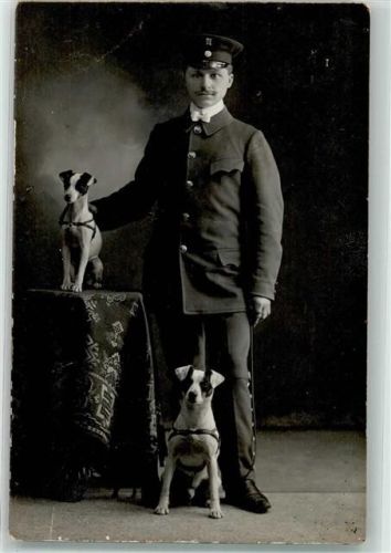 Würzburg 1910 Beruf Uniform mit zwei Hunde im Fotoatelier Ort lt. Fotograf Samson