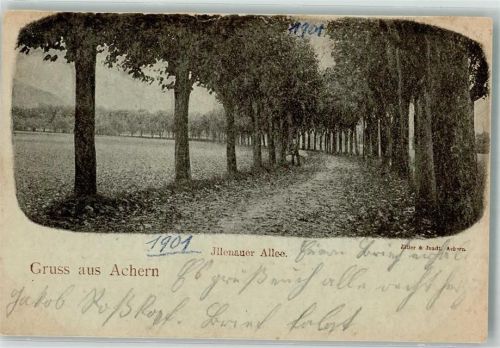 Achern 1901 Illenauer Allee