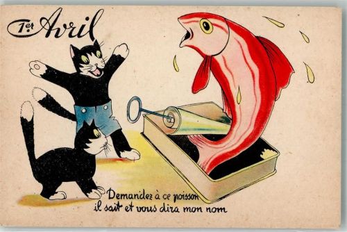 Fisch Katze Humor