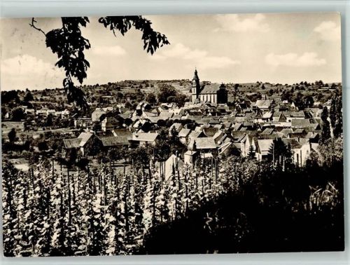 Ettenheim Blick auf Ettenheim