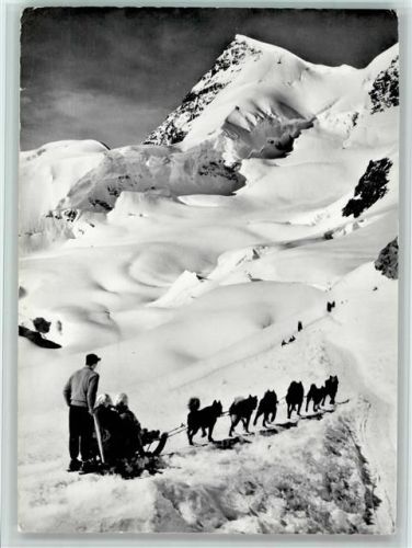 Jungfraujoch Polarhunde Rottalhorn Winter Stempel: Station Jungfraujoch Hundeschlitten