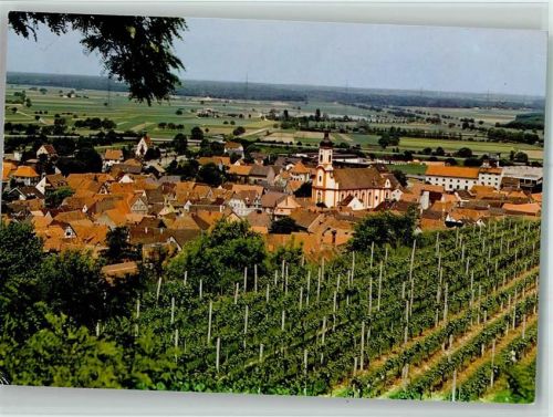 Riegel Ortsansicht Weinberg