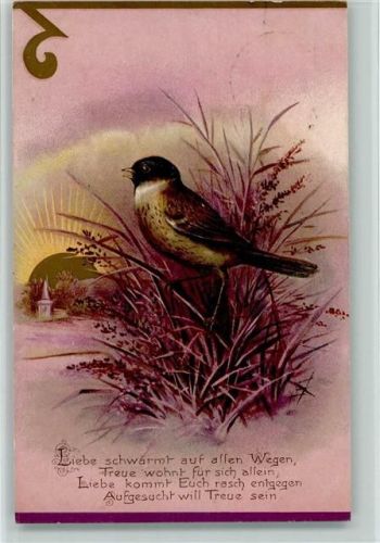 1908 Vogel, Sonnenschein, Poesie Spruch AK
