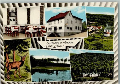 Hesselbach Gasthaus Pension Drei Lilien Innenaufnahme Gastraum Hirsch Ortsansichten Mehrfachaufnahme