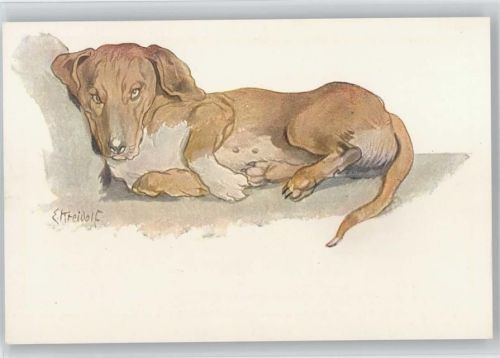 Nr. 204 Künstler Kreidolf - Der sinnende Dackel