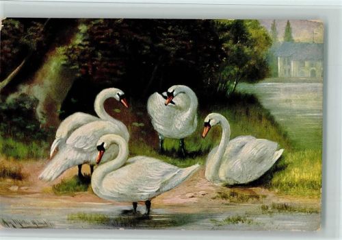 Serie 489 - Schwäne am Teich ca 1916 AK