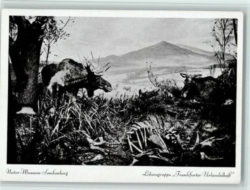 Natur Museum Senckenberg - Urtiere Urlandschaft