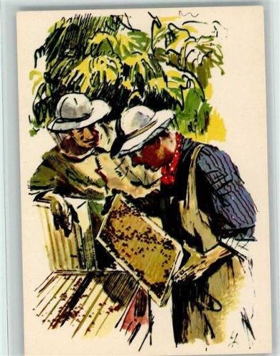 Nr. 10 Mexikanischer Imker bei der Nachschau - Bienenzucht in aller Welt - Honighaus Bienenfleiß