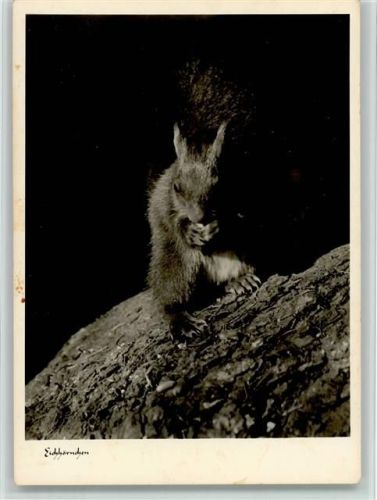 Foto 1966 AK
