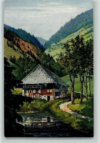 Schwarzwaldhaus Elchlepp Nr. 10 AK