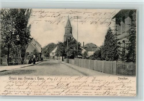 31028 W3212 Gronau (Leine) 1906 - Steintor, gute Erhaltung AK