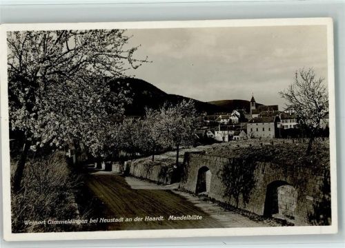 Gimmeldingen 1934 Mandelblütenfest AK