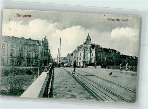 Temesvar 1926 Bulevardul Carol AK Kleine Flecken