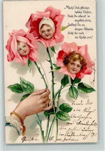 Rosen